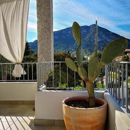 B&B Limone San Teodoro  Eksteriør billede